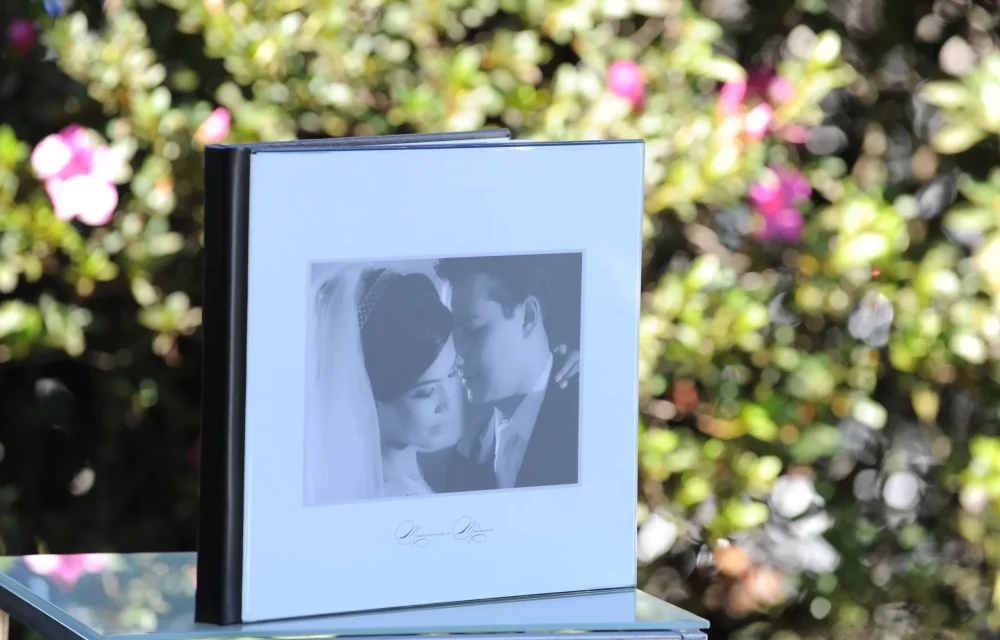 Acrílico (19)_Revelação Nota 10