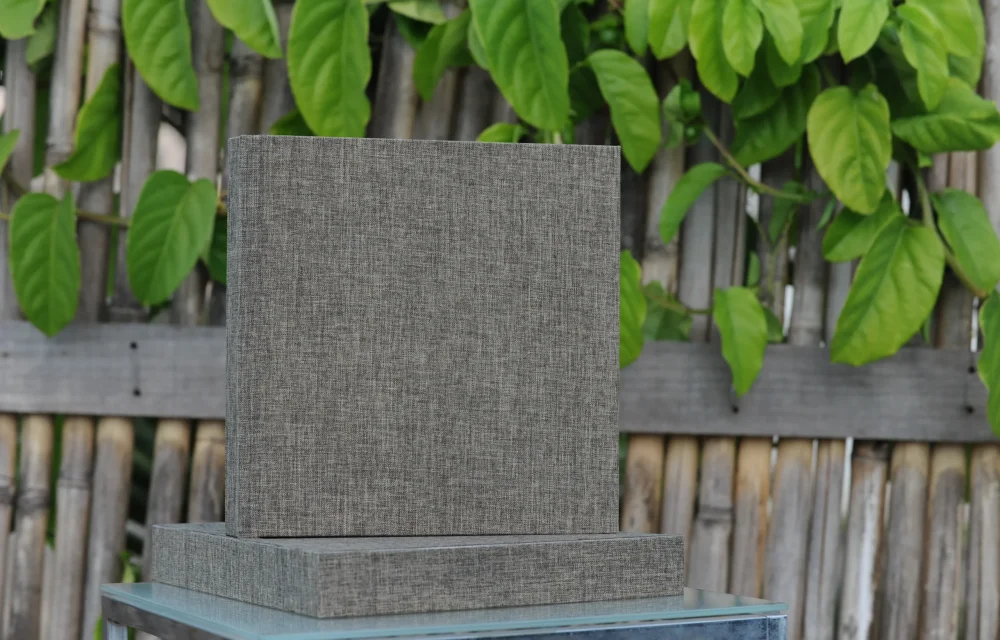 DSC_3274_Revelação Nota 10