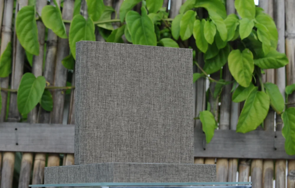 DSC_3275_Revelação Nota 10